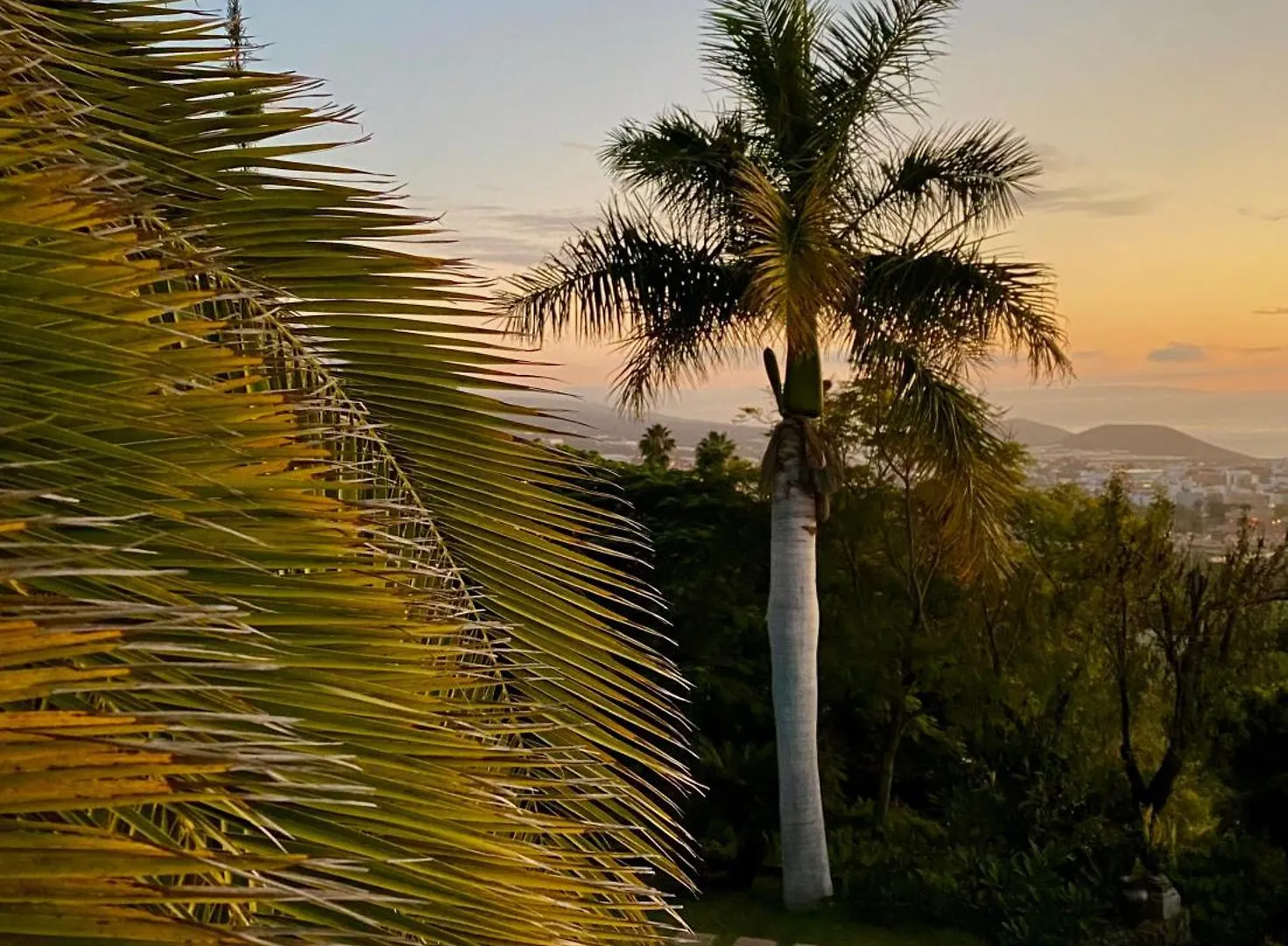 Gran Villa Palmera Los Llanos De Aridane