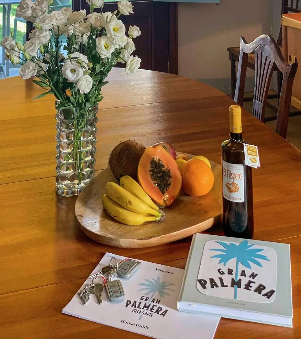 Gran Villa Palmera Los Llanos De Aridane